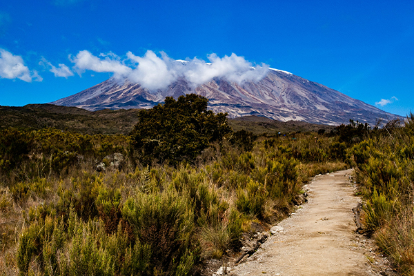 Uhuru Peak Summit